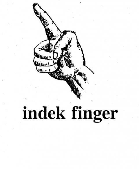 Indek finger