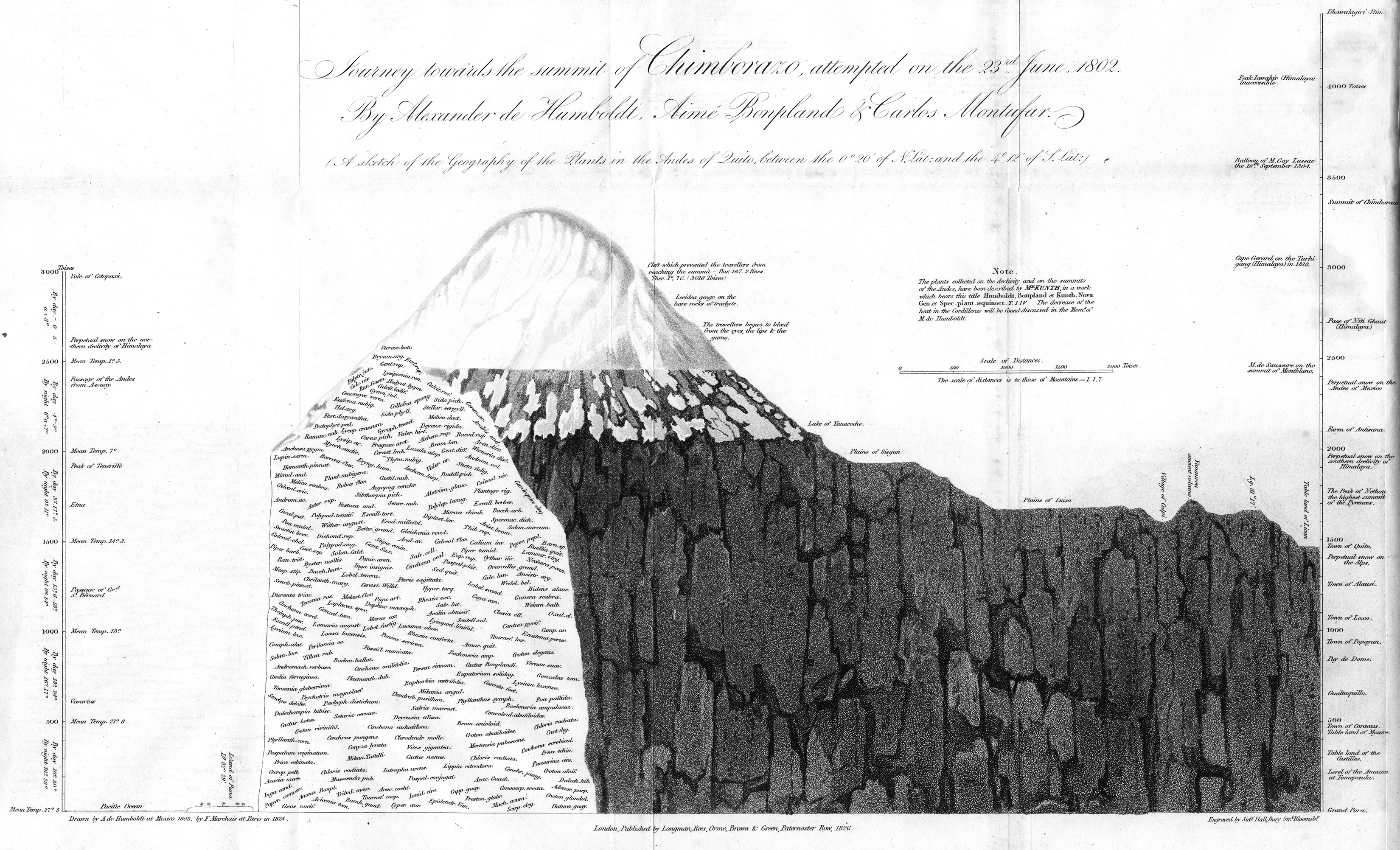humboldt-profile-chimborazo-1829