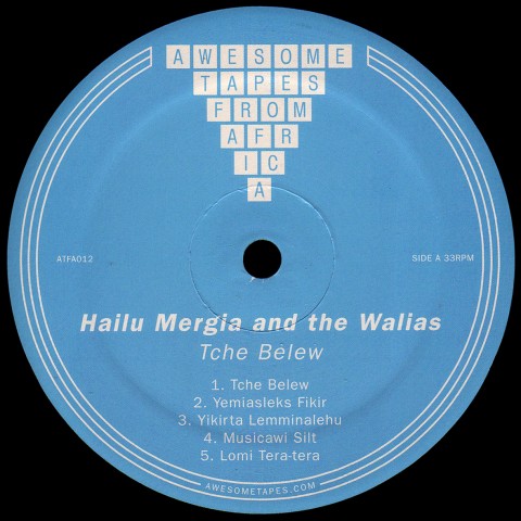 Hailu Mergia And The Walias